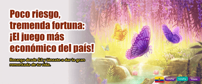 Soluciones rápidas a tus dudas