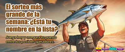 Contacto directo con soporte experto